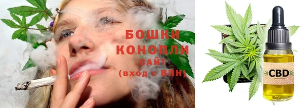 молекула духа Нея