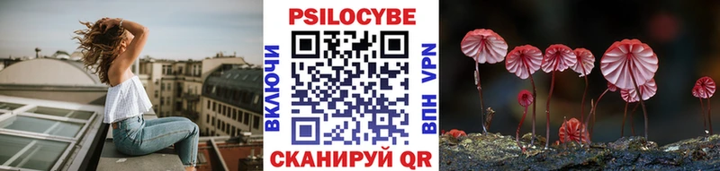 Купить где  Шатура  Галлюциногенные грибы Magic Shrooms 